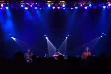 Guster